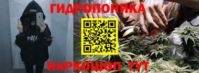 кокс Ставрополь