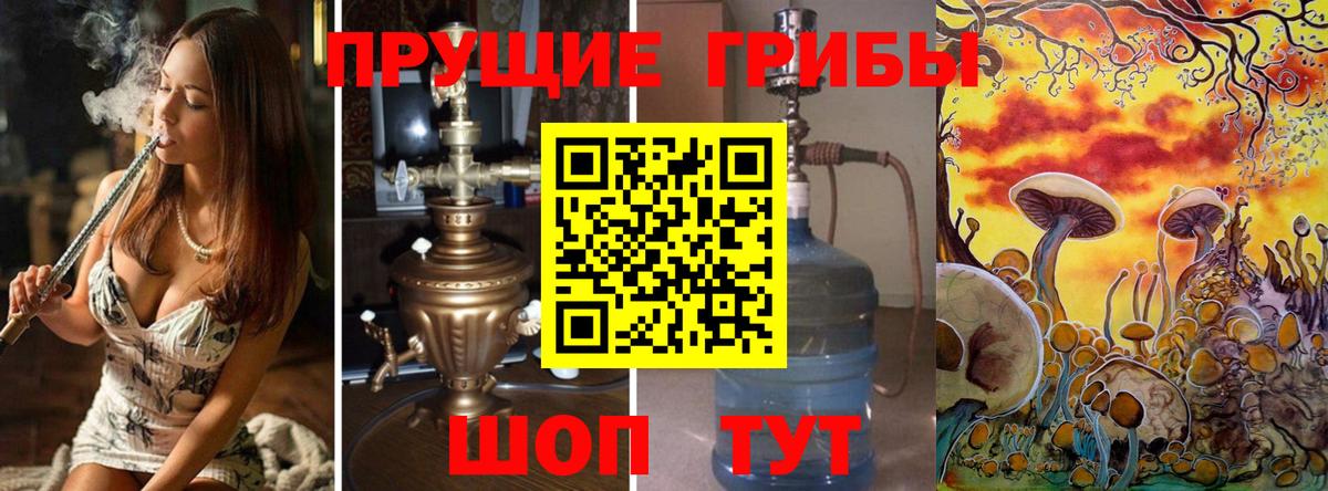 Псилоцибиновые грибы MAGIC MUSHROOMS  Вход с VPN  Новоуральск  Псилоцибиновые грибы Psilocybine cubensis 