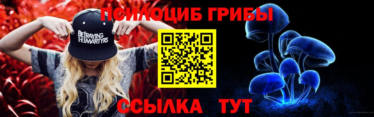 Галлюциногенные грибы Psilocybine cubensis Новоуральск